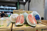 Trái bưởi Việt Nam chính thức có mặt tại Australia