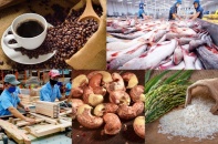 Đạt hơn 23 tỷ USD, xuất khẩu nông lâm thủy sản vẫn lộ dấu hiệu “chững nhịp”