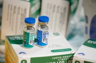 Vaccine thú y “made in Việt Nam” chinh phục thị trường Hàn Quốc