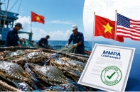 Ghẹ Việt Nam giữ vững “thẻ xanh” tại thị trường Hoa Kỳ