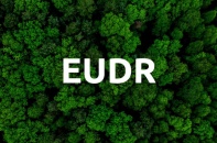 EU lùi áp dụng EUDR đến cuối 2026, nông sản Việt thêm “khoảng thở”