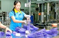 Doanh nghiệp FDI ngành da giày chiếm hơn 77% tỷ trọng xuất khẩu