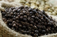 Bộ Công thương khuyến cáo doanh nghiệp xuất khẩu hồ tiêu sang Myanmar