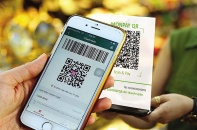 "Fintech Việt Nam đang phát triển mạnh nhưng… hoang dã"