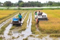 Lộc Trời đặt kế hoạch doanh thu “đi ngang” cho năm 2020