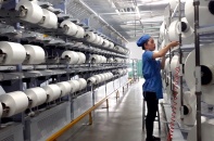 Sợi Thế Kỷ thận trọng đặt kế hoạch năm 2020