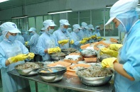 VASEP: Doanh nghiệp thuỷ sản đang thiếu kho lạnh trầm trọng