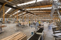 51% doanh nghiệp gỗ đã thu hẹp quy mô sản xuất