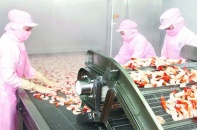 Năm nay, xuất khẩu tôm sang Trung Quốc có thể tăng 7%