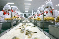 Xuất khẩu thuỷ sản kỳ vọng đạt 8,8 tỷ USD năm 2021