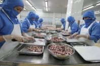 Kiến nghị xem xét lại việc phạt chậm nộp thuế giá trị gia tăng khi có lô hàng xuất nhẩu bị trả về
