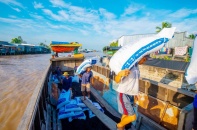 Cá tra Nam Việt kỳ vọng trở về vị trí dẫn đầu ngành