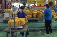 Bình quân mỗi ngày, Tập đoàn Công nghiệp Cao su Việt Nam lãi hơn 12,6 tỷ đồng