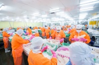 Doanh nghiệp ngành tôm, cá tra nỗ lực phục hồi từ tháng 10