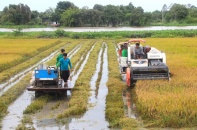 Tập đoàn Lộc Trời chuyển nhượng tất cả vốn góp tại 5 công ty con