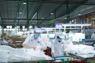 Nhựa An Phát Xanh nâng tỷ lệ sở hữu tại Nhựa Bao bì Vinh lên gần 35%