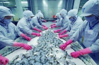 Xuất khẩu thủy sản tháng 9/2021 tiếp tục giảm 23%