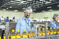 Trước thềm thoái vốn, Vocarimex báo lỗ sau 5 năm lên sàn