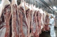 Trong 3 tháng giãn cách, “ông lớn” cung cấp thịt heo ở TP.HCM lãi hơn 43 tỷ đồng