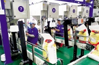Đang đà tăng giá, gạo Trung An có thêm cổ đông mua hơn 1 triệu cổ phiếu
