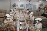Bị ảnh hưởng nặng trong quý III, Gỗ Đức Thành muốn giảm hơn 40% chỉ tiêu lãi ròng