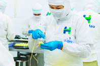 Nông nghiệp Hùng Hậu có tân Tổng giám đốc, sắp phát hành 1,3 triệu cổ phiếu
