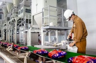 Vinachem sắp bán nốt lượng cổ phần đang nắm tại Hoá chất Đức Giang