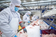 Masan Meatlife (MML) báo lãi tăng hơn 154%