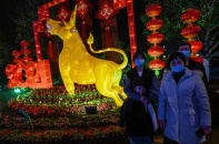 Châu Á ăn Tết trong lo âu
