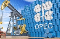 OPEC+ "rắn mặt" ghim kế hoạch sản lượng như cũ, bất chấp áp lực từ Mỹ