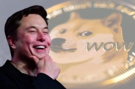 Dogecoin tăng giá hơn 15%, dự báo cán mốc 1 USD
