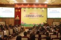 200 doanh nghiệp xuất nhập khẩu tham gia đối thoại với Hải quan khu vực V