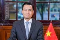 Việt Nam - Đối tác tích cực, hình mẫu hợp tác hiệu quả với Liên Hợp quốc