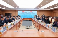 Thúc đẩy hợp tác Việt Nam - Singapore trong giai đoạn phát triển mới