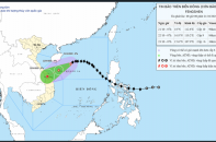 Dự trữ Nhà nước các khu vực sẵn sàng ứng phó cơn bão số 12