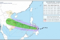 Hải quan chủ động ứng phó bão KALMAEGI