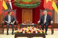 Tổng Bí thư Tô Lâm tiếp Quốc vương Brunei