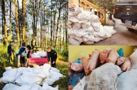 Hải quan bắt giữ lượng lớn thực phẩm đông lạnh và thuốc lá sấy khô nhập lậu