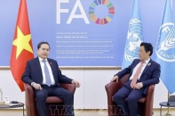 Tăng tốc chuyển đổi nông nghiệp, củng cố an ninh lương thực trong bối cảnh mới