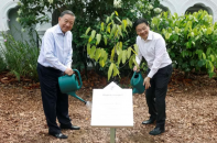 Tổng Bí thư, Chủ tịch nước Tô Lâm trồng cây tại Vườn Bách thảo Singapore