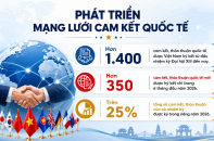 Rà soát hơn 1.400 cam kết, thỏa thuận quốc tế