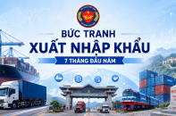 [Infographic] Bức tranh xuất nhập khẩu 7 tháng đầu năm