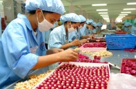 Thủ tục hải quan mua hàng từ doanh nghiệp chế xuất khác để xuất khẩu