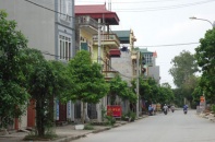 Đấu giá 180 lô đất tại huyện Mê Linh và huyện Đông Anh