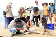  Chính phủ báo cáo về thiệt hại ban đầu do thảm họa Formosa