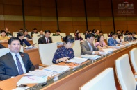  Đề xuất đưa cỏ Mỹ, lá cây KHAT vào cấu thành tội phạm ma túy