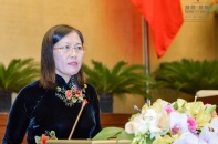 Sửa đổi Bộ luật Hình sự 2015: Đã phát hiện 141 điểm cần sửa