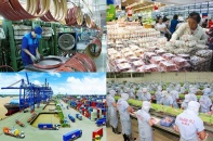 Doanh nghiệp Việt “lột xác” trong chuyến tàu WTO