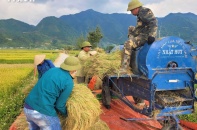 Thủ tướng yêu cầu thúc đẩy sản xuất, xuất khẩu gạo