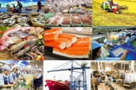 Cơ cấu lại thị trường xuất khẩu, kích cầu tiêu dùng, nghiên cứu các mức thuế phù hợp Cơ cấu lại thị trường xuất khẩu, kích cầu tiêu dùng, nghiên cứu các mức thuế phù hợp